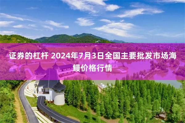 证券的杠杆 2024年7月3日全国主要批发市场海鳗价格行情