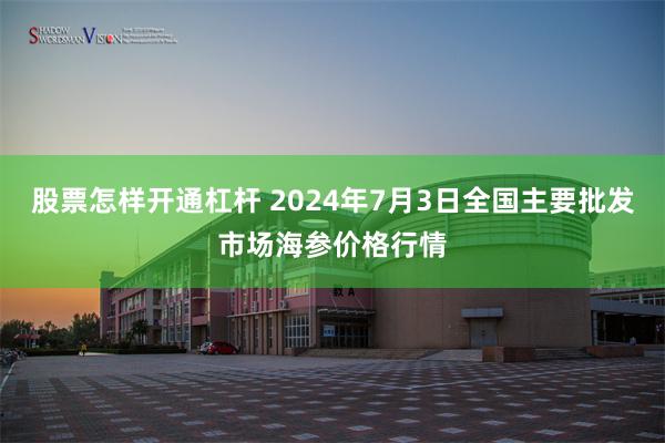 股票怎样开通杠杆 2024年7月3日全国主要批发市场海参价格行情