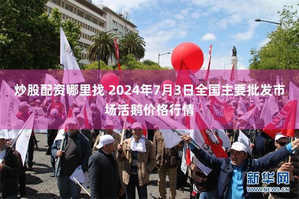 炒股配资哪里找 2024年7月3日全国主要批发市场活鹅价格行情