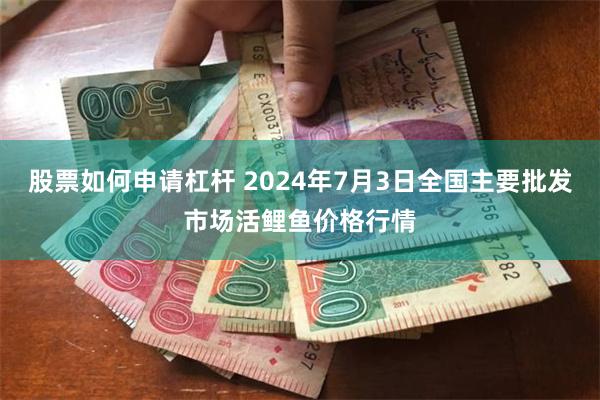 股票如何申请杠杆 2024年7月3日全国主要批发市场活鲤鱼价格行情