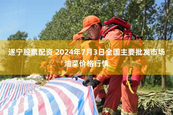 遂宁股票配资 2024年7月3日全国主要批发市场油菜价格行情