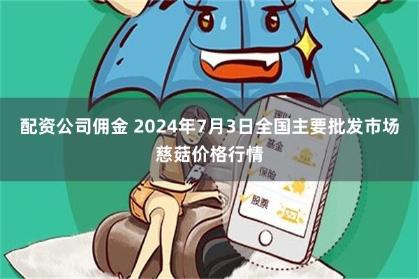 配资公司佣金 2024年7月3日全国主要批发市场慈菇价格行情