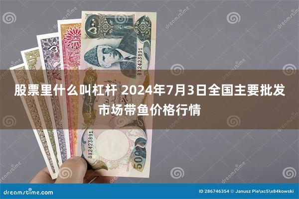 股票里什么叫杠杆 2024年7月3日全国主要批发市场带鱼价格行情