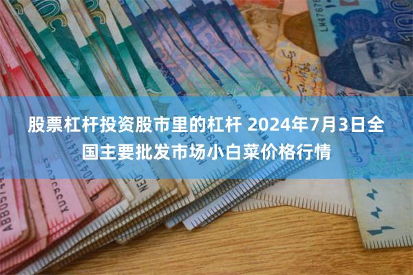 股票杠杆投资股市里的杠杆 2024年7月3日全国主要批发市场小白菜价格行情