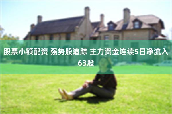 股票小额配资 强势股追踪 主力资金连续5日净流入63股