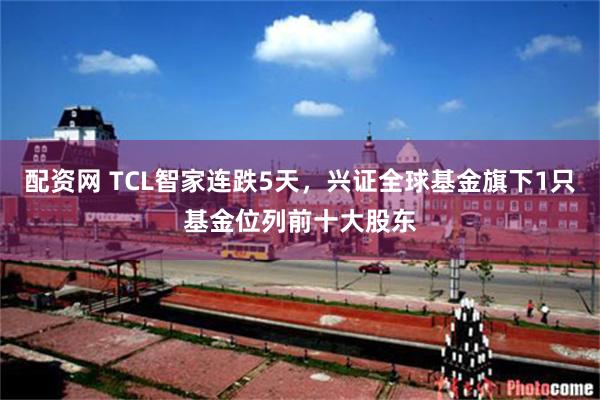 配资网 TCL智家连跌5天，兴证全球基金旗下1只基金位列前十大股东