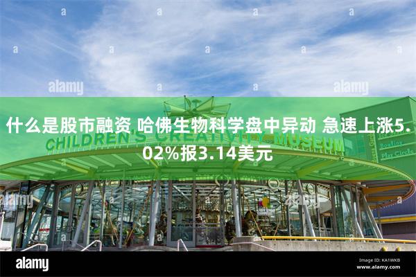 什么是股市融资 哈佛生物科学盘中异动 急速上涨5.02%报3.14美元