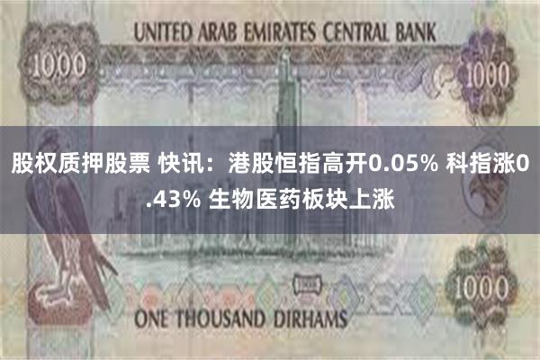 股权质押股票 快讯：港股恒指高开0.05% 科指涨0.43% 生物医药板块上涨