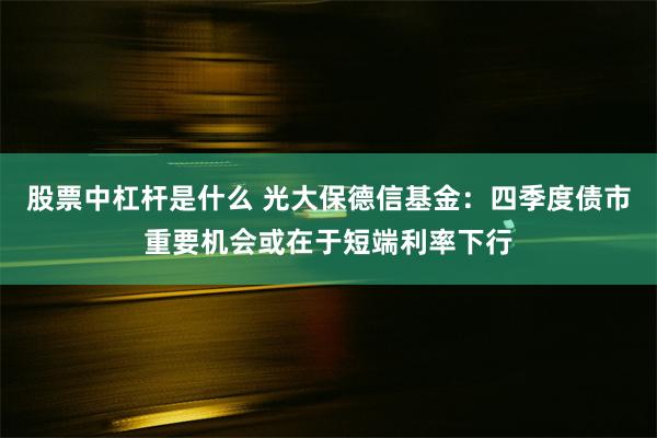 股票中杠杆是什么 光大保德信基金：四季度债市重要机会或在于短端利率下行