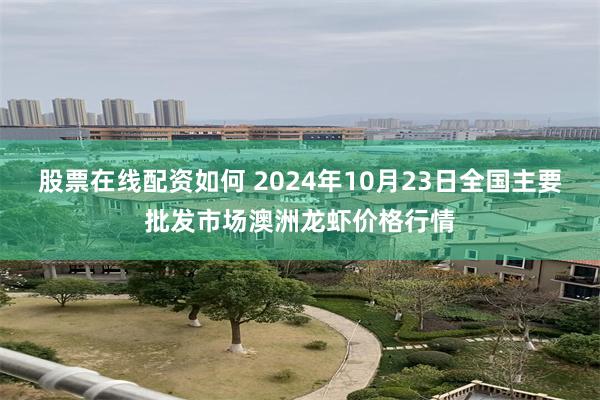 股票在线配资如何 2024年10月23日全国主要批发市场澳洲龙虾价格行情