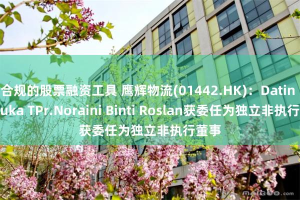 合规的股票融资工具 鹰辉物流(01442.HK)：Datin Paduka TPr.Noraini Binti Roslan获委任为独立非执行董事