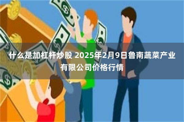 什么是加杠杆炒股 2025年2月9日鲁南蔬菜产业有限公司价格行情