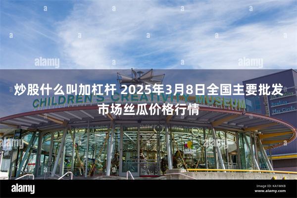 炒股什么叫加杠杆 2025年3月8日全国主要批发市场丝瓜价格行情